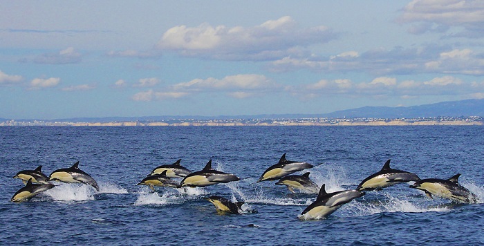 10 planes para disfrutar del Algarve en familia